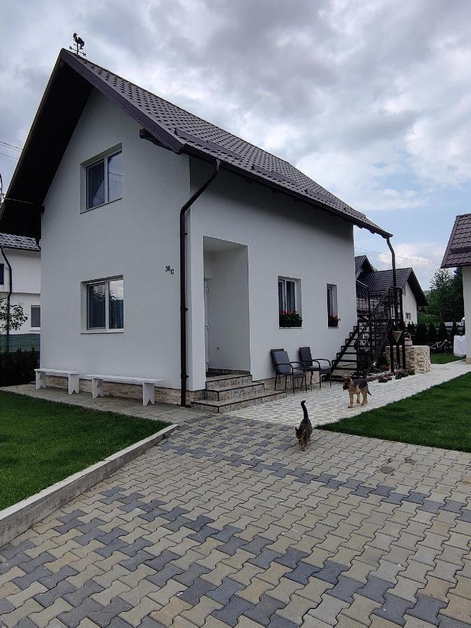 Vizuina Lupului Hotel Gura Humorului Exterior foto